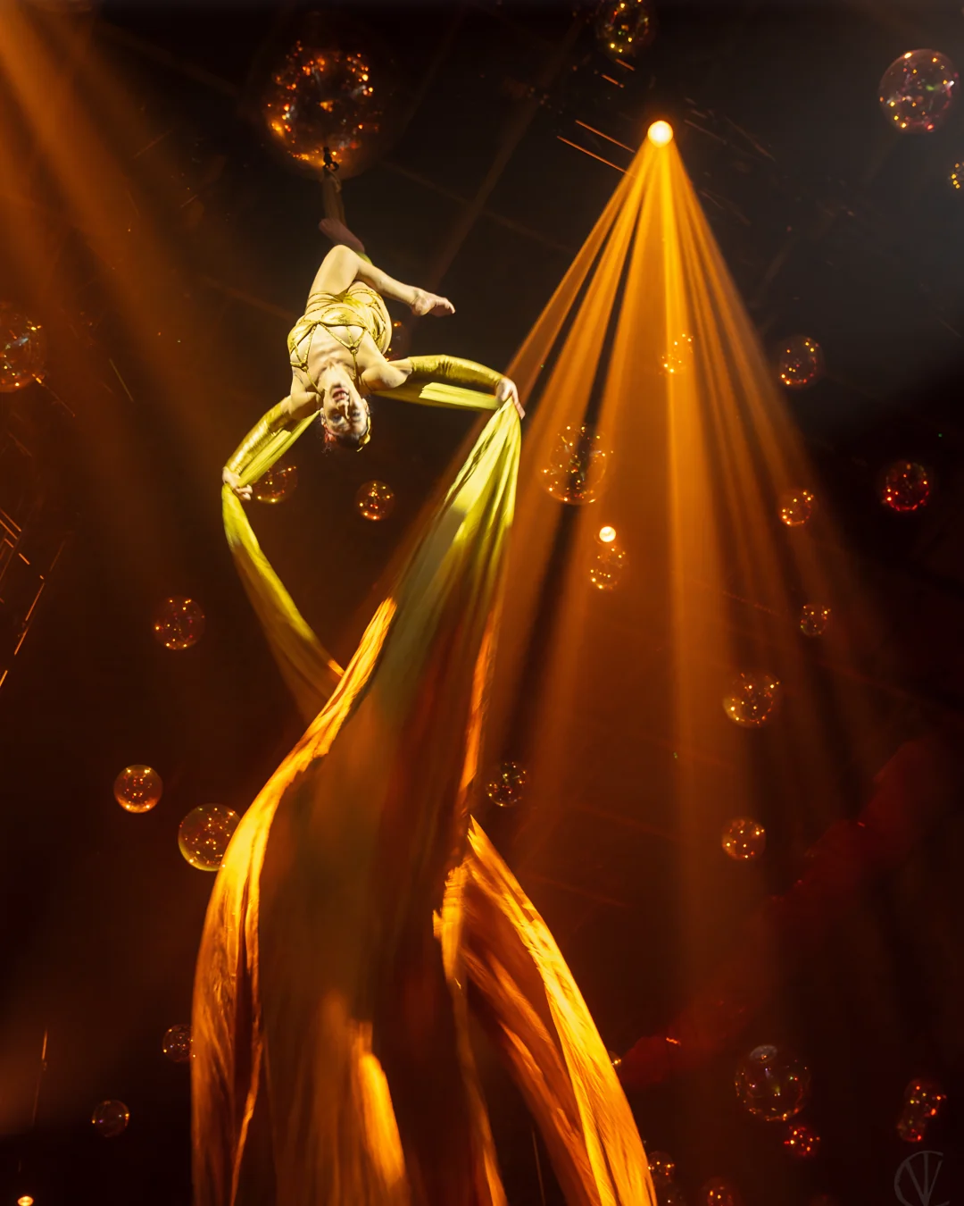 Circensia aerial performer suspended in a gold-lit act